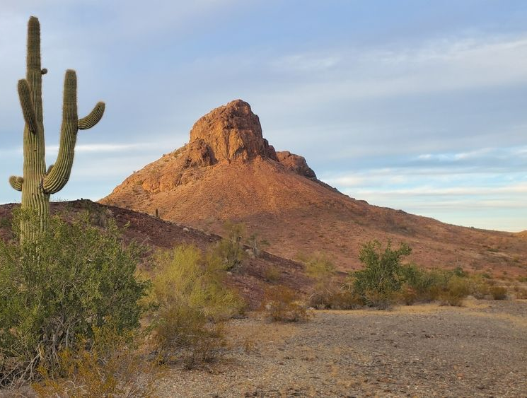 Desert landscape with a saguaro cactus and rocky mountain under a clear sky at sunset
