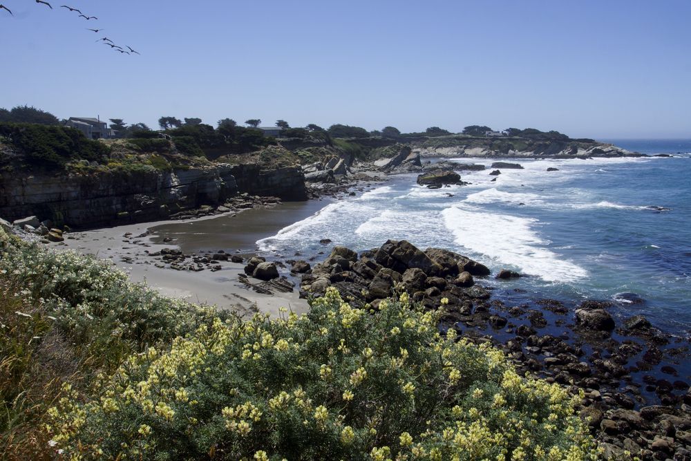 Rocky coastal cove with crashing waves, sandy shore, and green shrubs under a clear blue sky