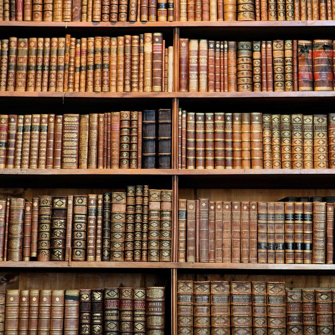 Wooden bookshelves filled with rows of old leather-bound books in varying shades of brown and gold.