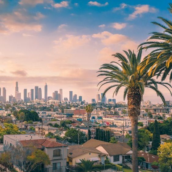 Palm trees frame a cityscape of Los Angeles. The skyline of downtown buildings is visible under a pastel sky.