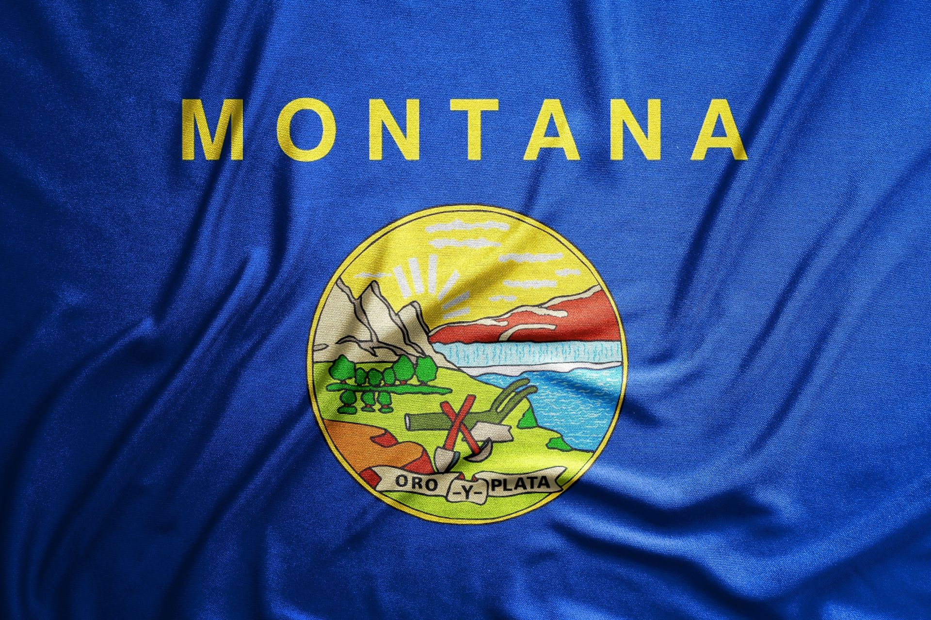 Montana state flag: Blue field with the state seal in the center and the word 