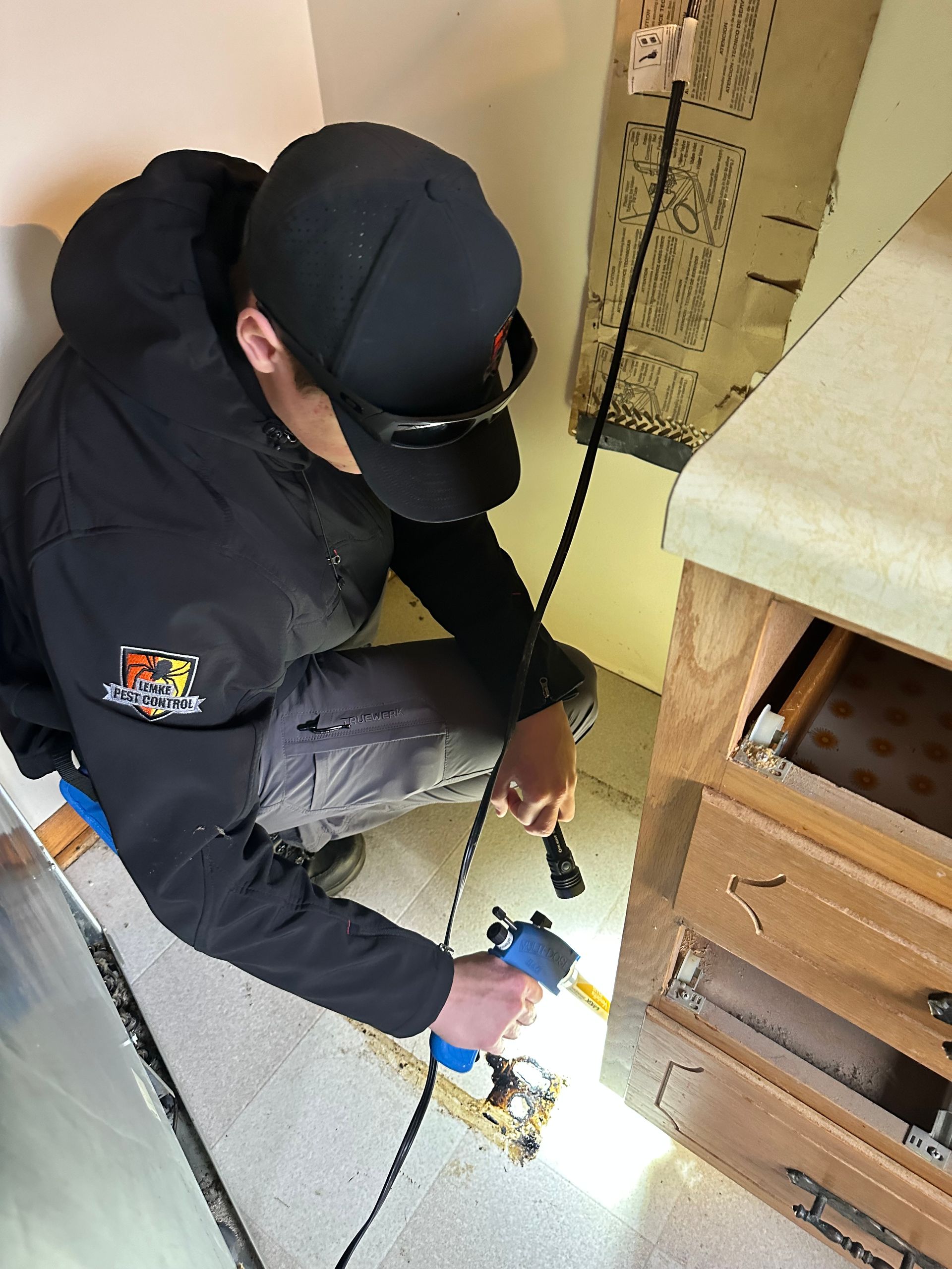 Image of a man inspecting an area on the floor for bugs