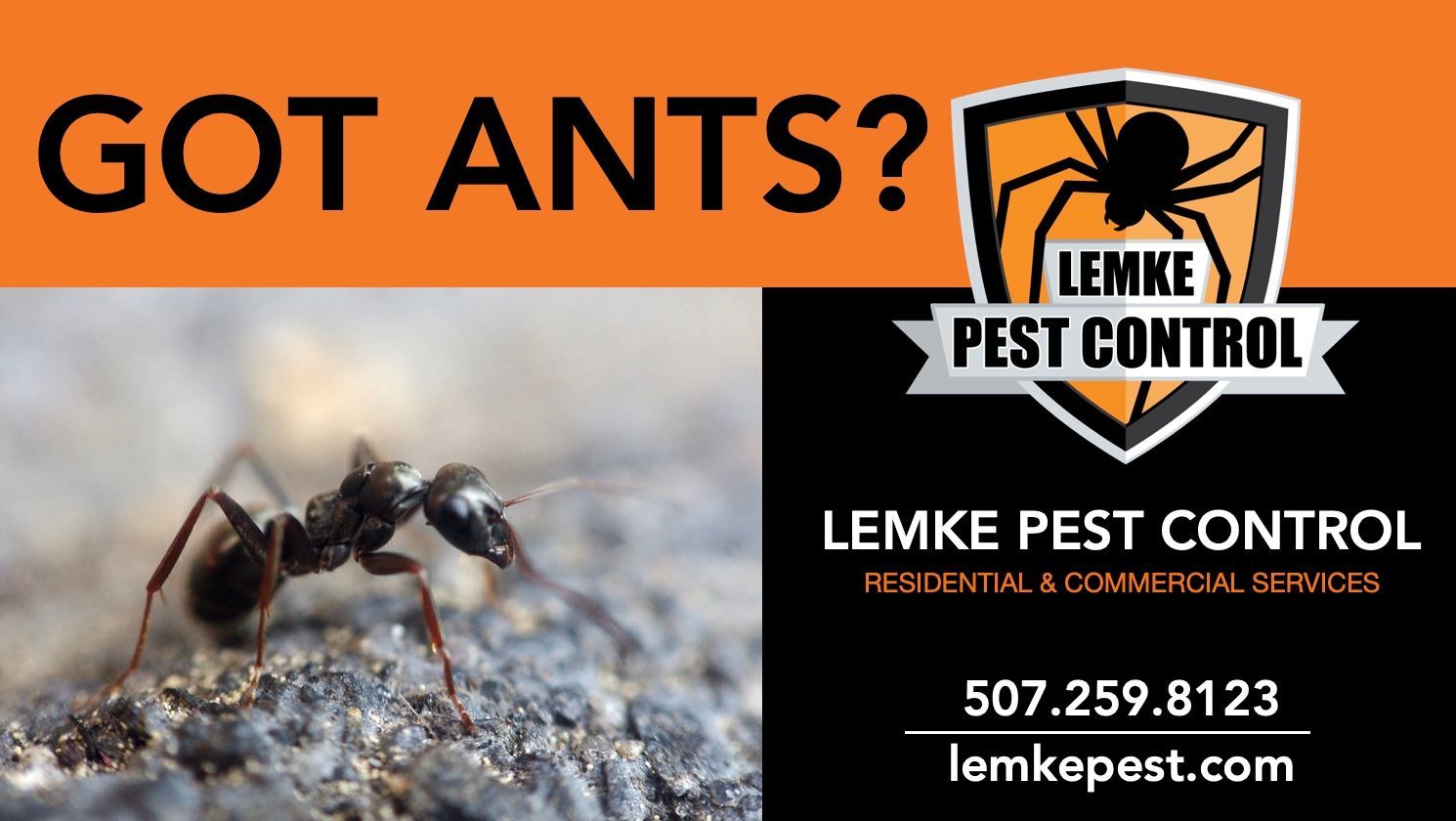 decorative ad for ant control