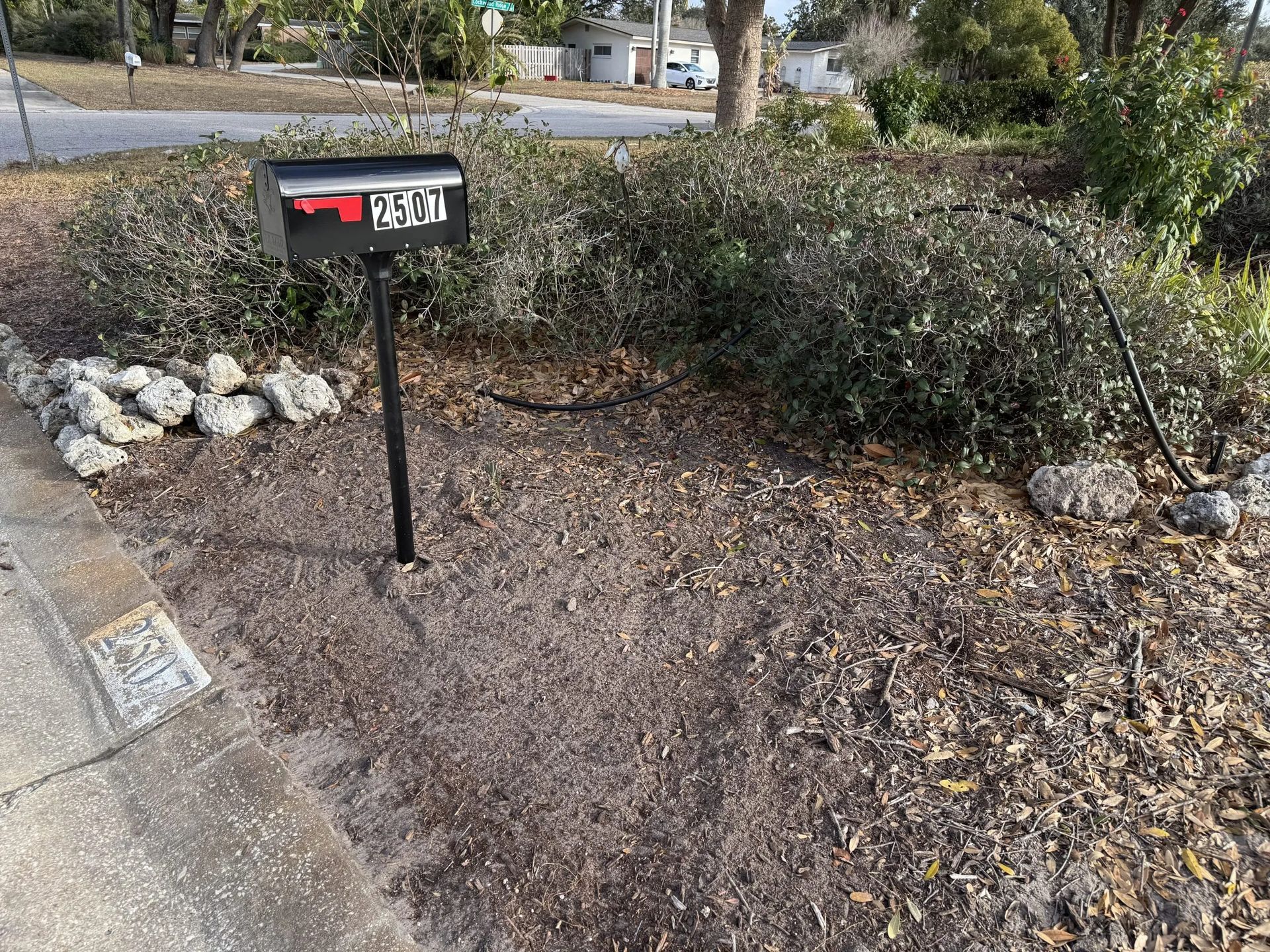 Black mailbox with red flag beside a sidewalk and dry shrubs in a residential yard.