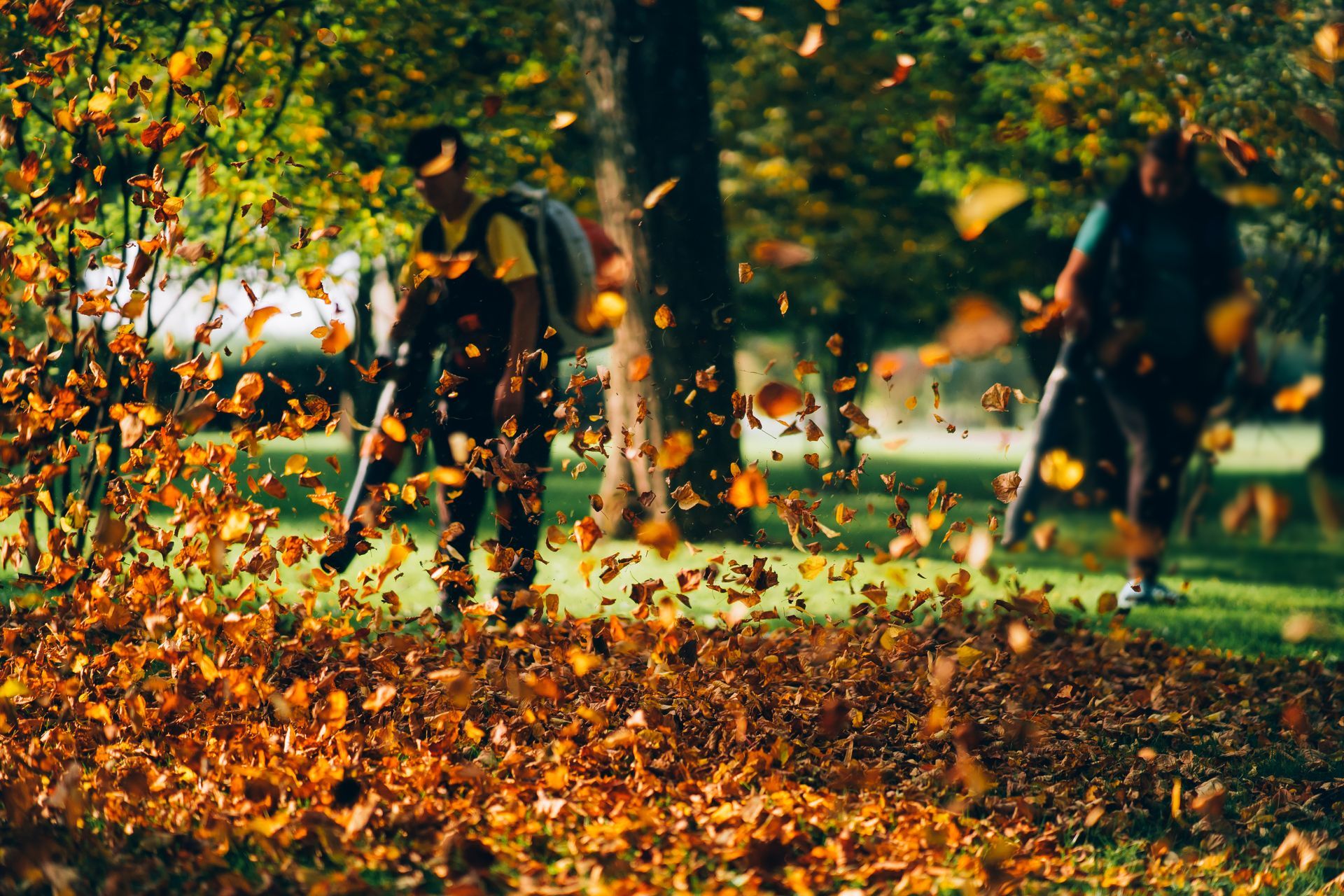Two people blowing fall leaves in a grassy park, bright orange and yellow leaves in motion.