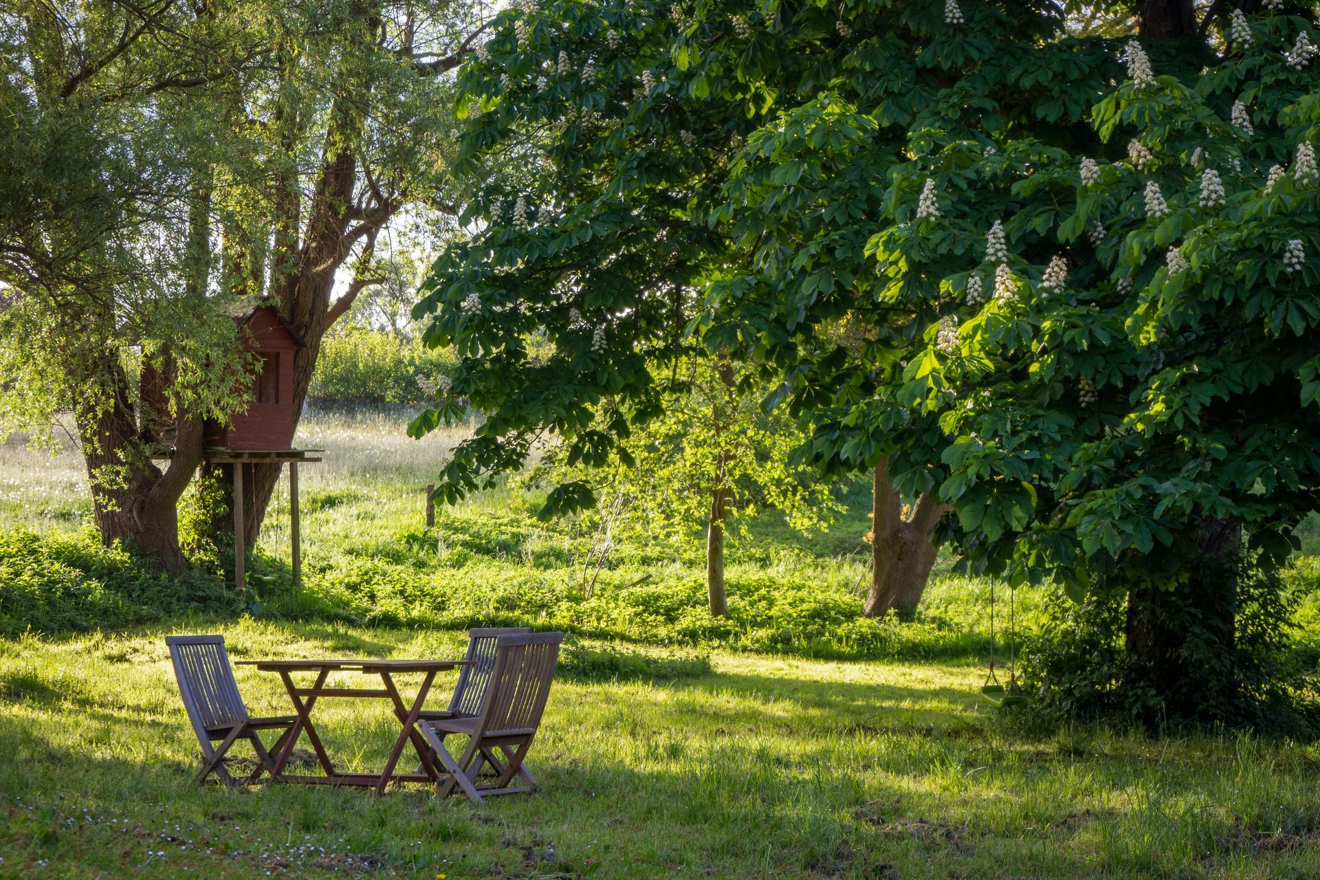 Wooden table and chairs in a grassy yard, under shade of large trees, with a treehouse visible in the background.
