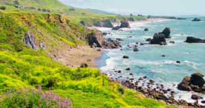 A view of a cliff overlooking the ocean and a beach.