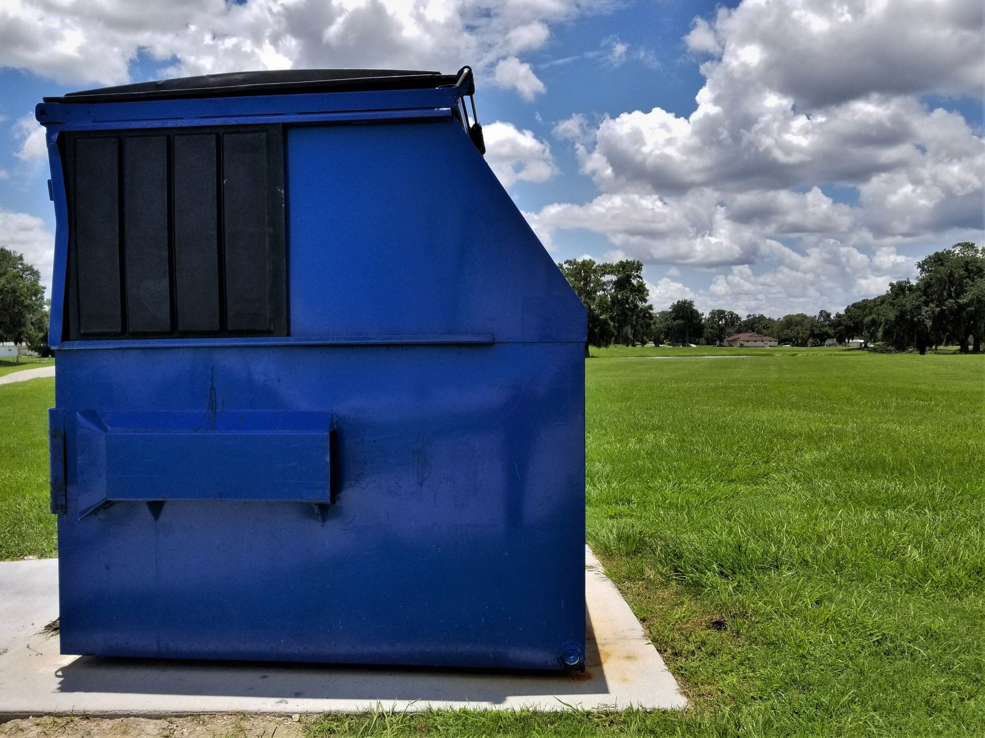Blue metal dumpster or utility bin beside a sidewalk in a grassy park under a cloudy sky