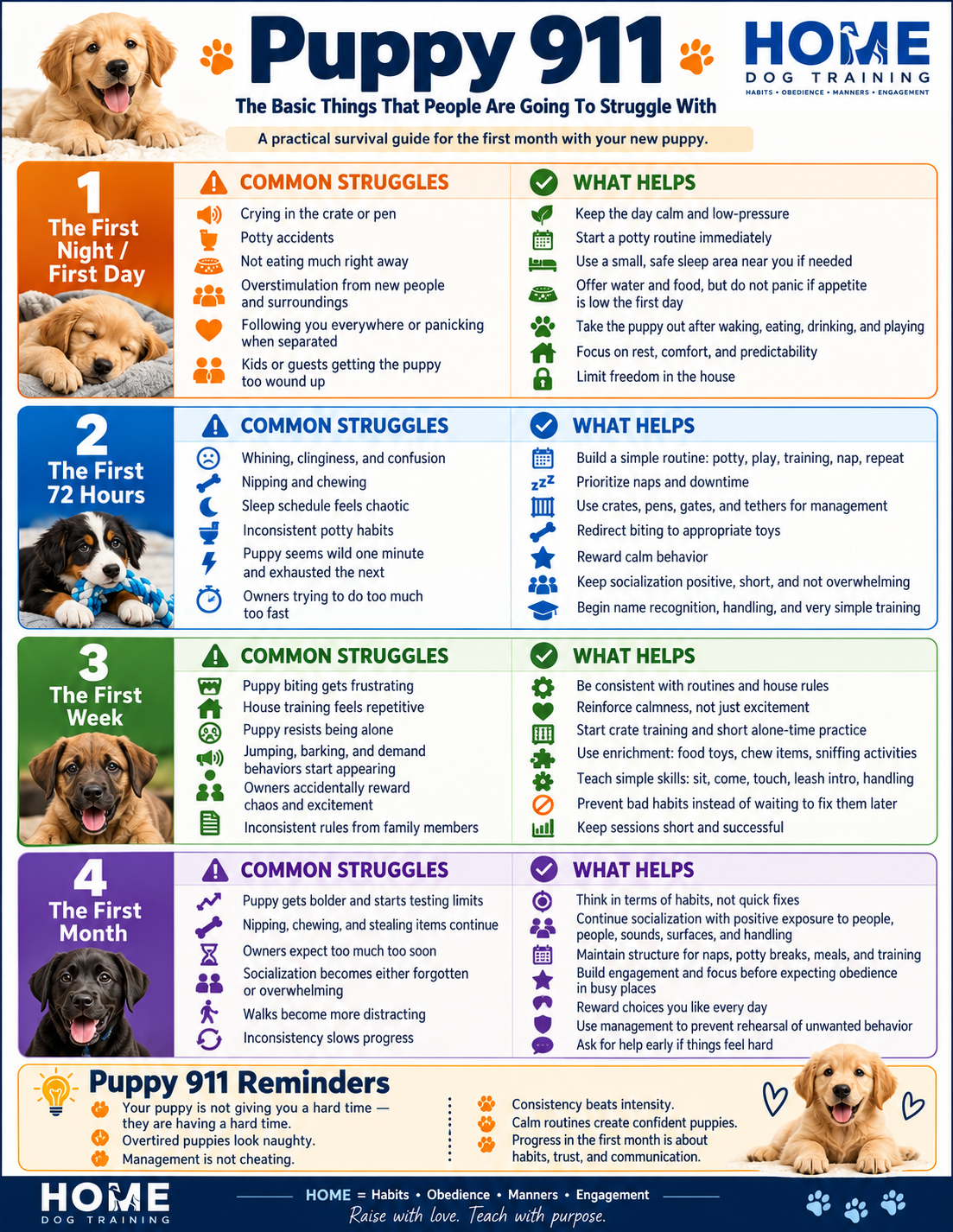 Puppy 911 guide from HOME Dog Training in Rockwall, Texas covering puppy biting, potty training, crate training, socialization and the first month with a new puppy.