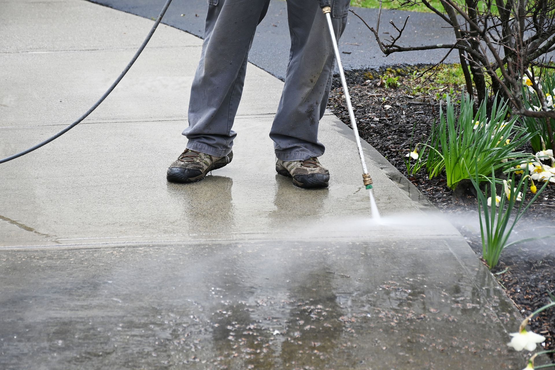 A person power washing a concrete walkway next to a garden.