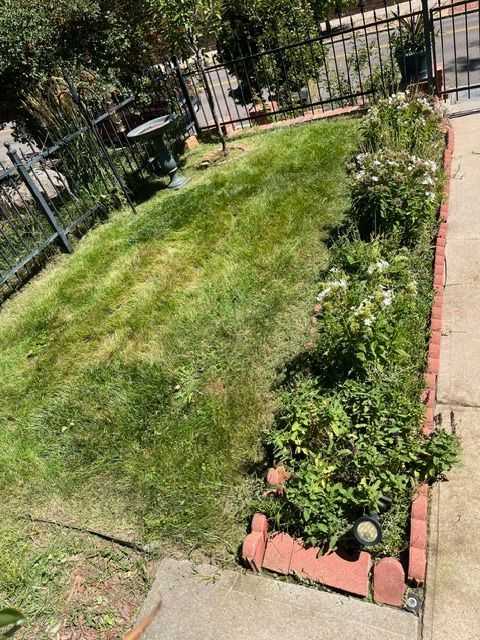 A lush green yard with a brick border and a fence.