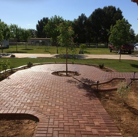 Brick patio and walkway with a young tree in the center, lawn and trees in the background.