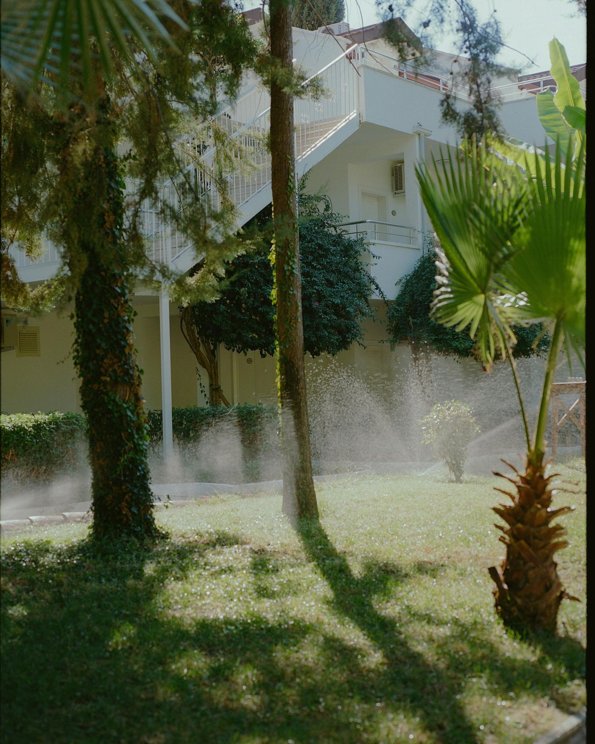 Lawn being watered with sprinkler in front of a white building with trees, plants, and shadows.