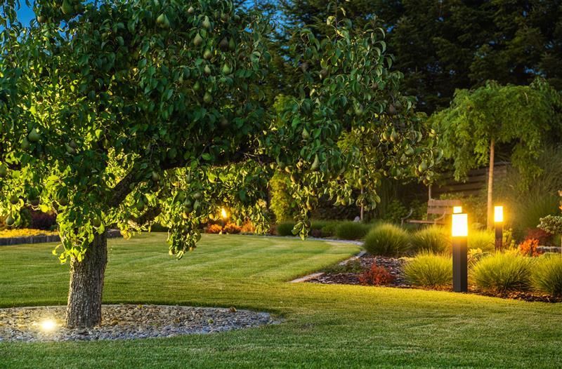 Lush green backyard with tree, grass, and glowing pathway lights. Evening setting.