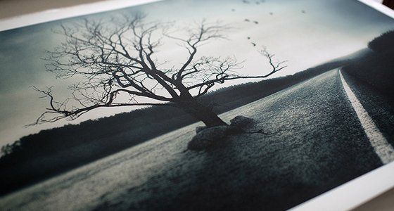 Fine art prints