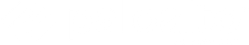 palo alto logo