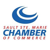 Expert business consultation services
