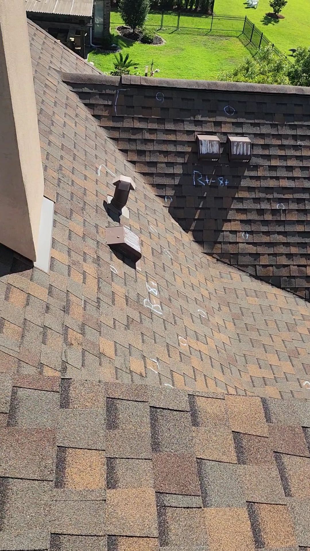 Roof shingles with a small bird perched near a vent, viewed from above.
