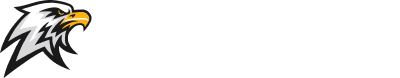 Clear Vision Detailing logo