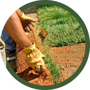 Gloved hands planting grass sod in reddish soil beside a green lawn