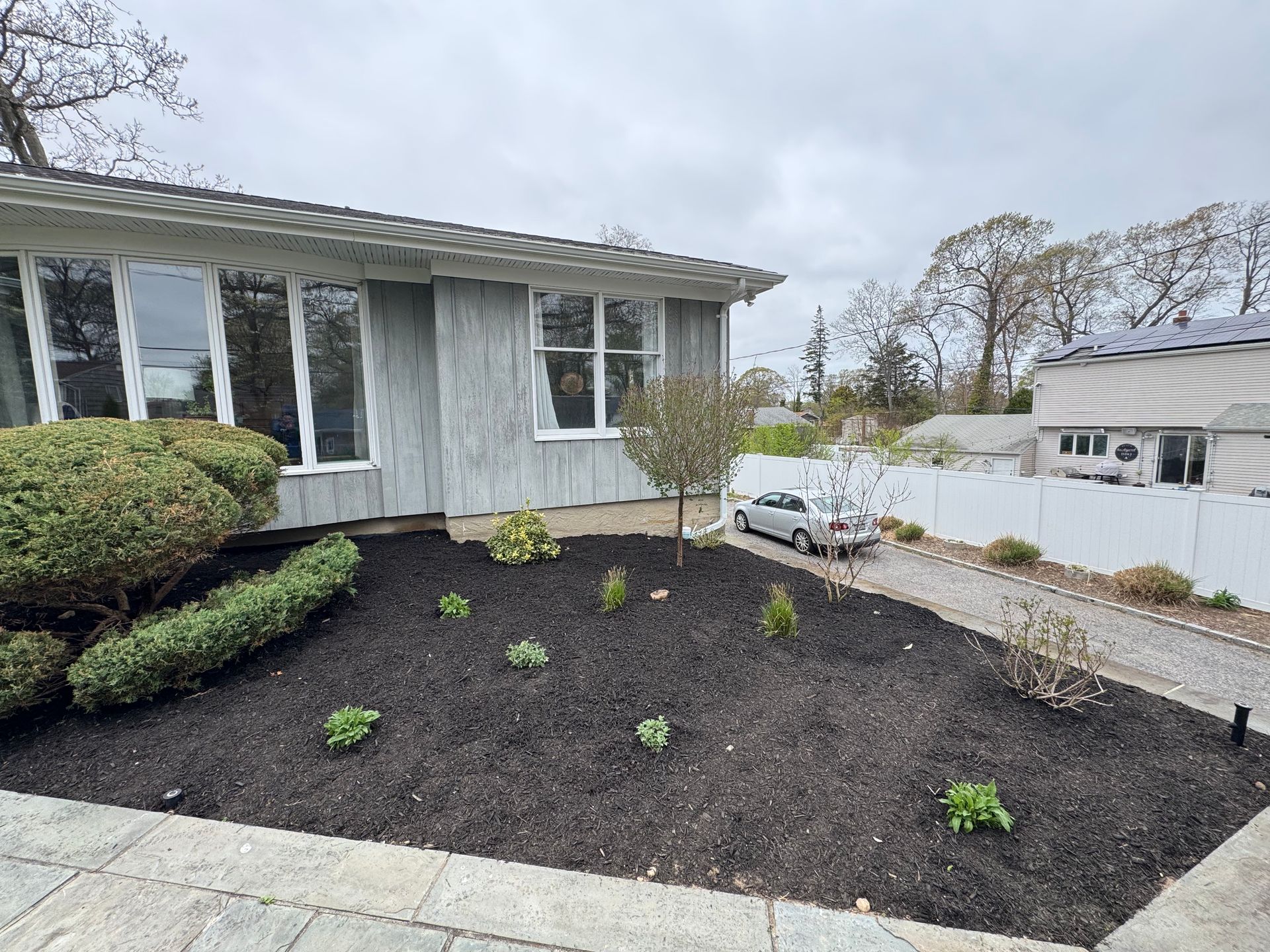 Front yard with fresh dark mulch, small shrubs, and a light-gray house with large windows.