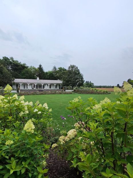 White house beside lush green field and blooming shrubs under a cloudy sky