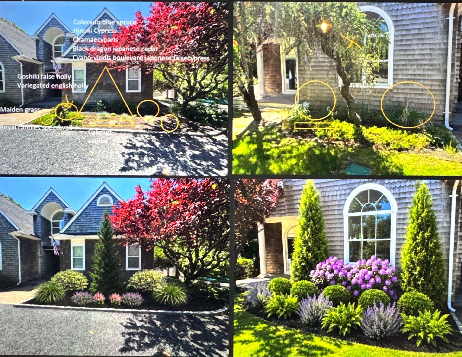 Three views of a suburban home with landscaped front yard, flowering trees, shrubs, and bright sunlight.