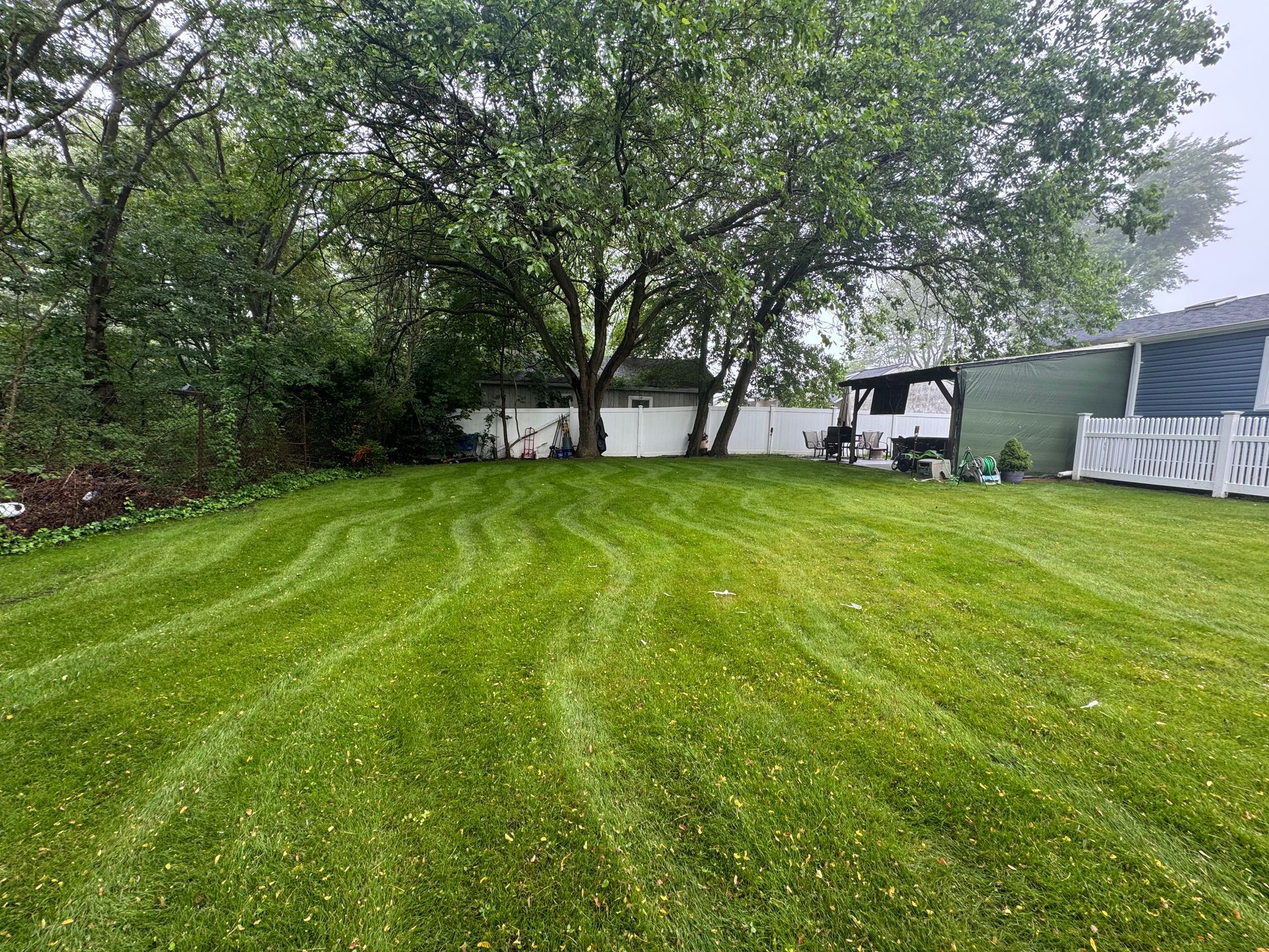 Lush green backyard with striped lawn, trees, and a white shed on a cloudy day