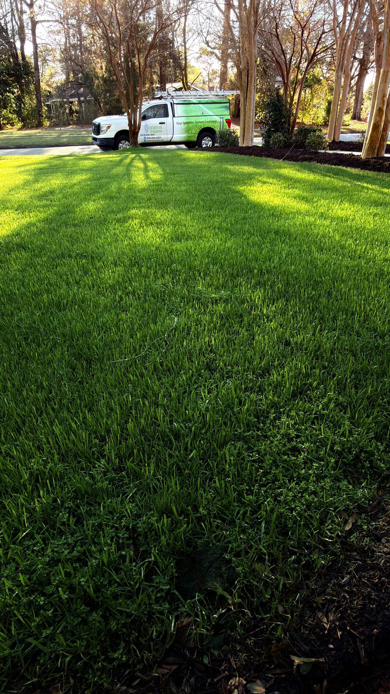 Green lawn with a white and green work truck parked among trees in a sunny yard