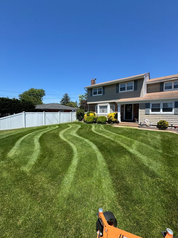 Backyard lawn with fresh mowing stripes beside a two-story house under a clear blue sky