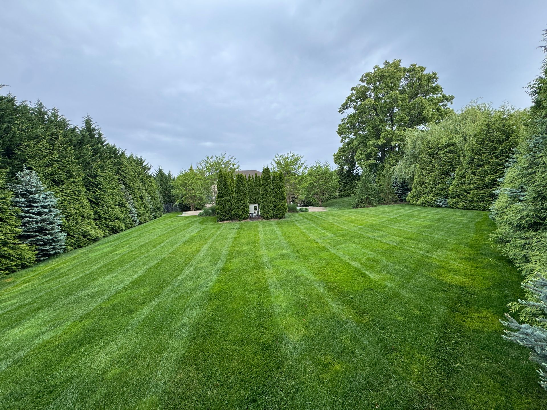 Millennium Designs Lawn Care