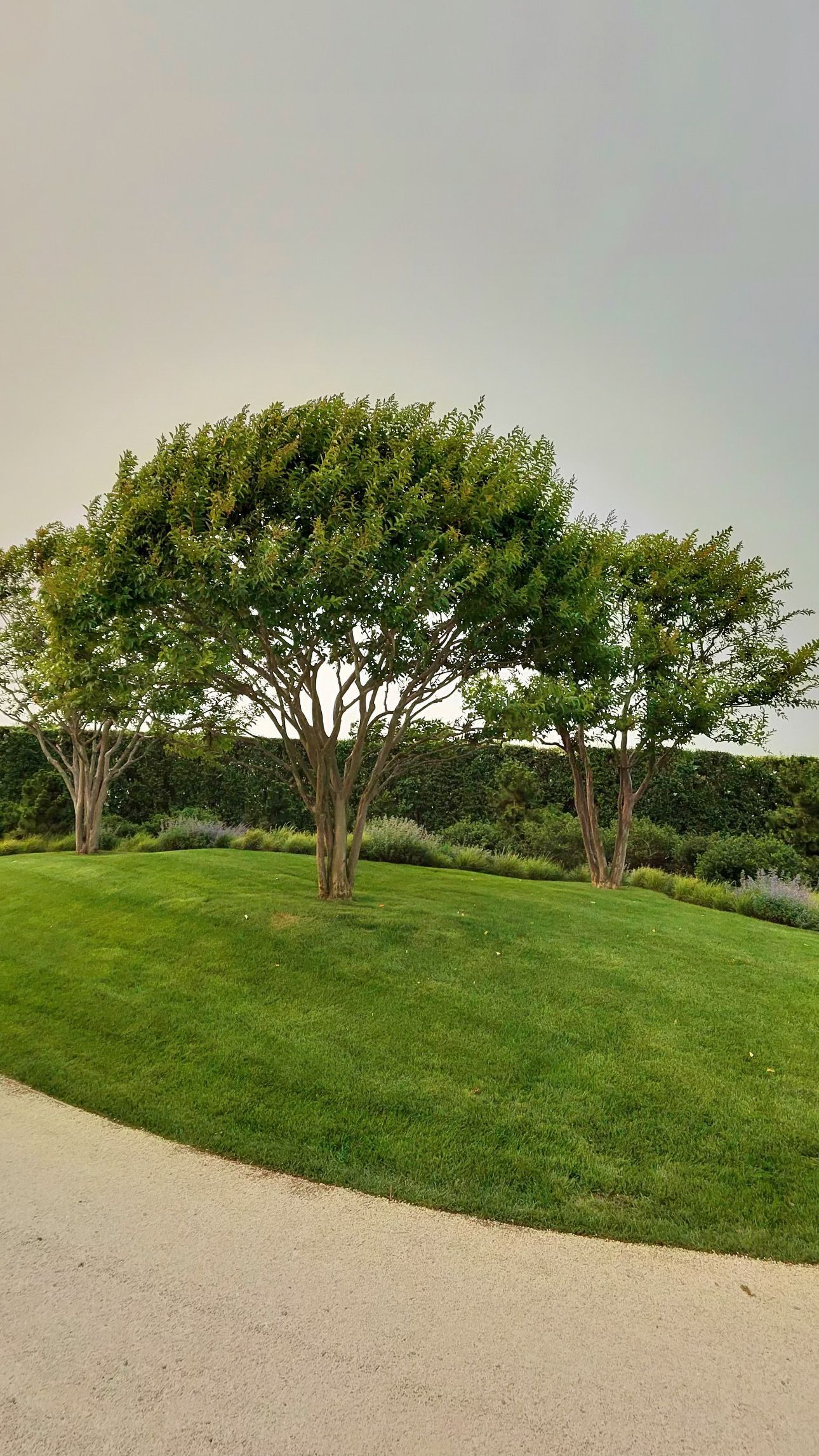 Millennium Designs Backyard Transformation
