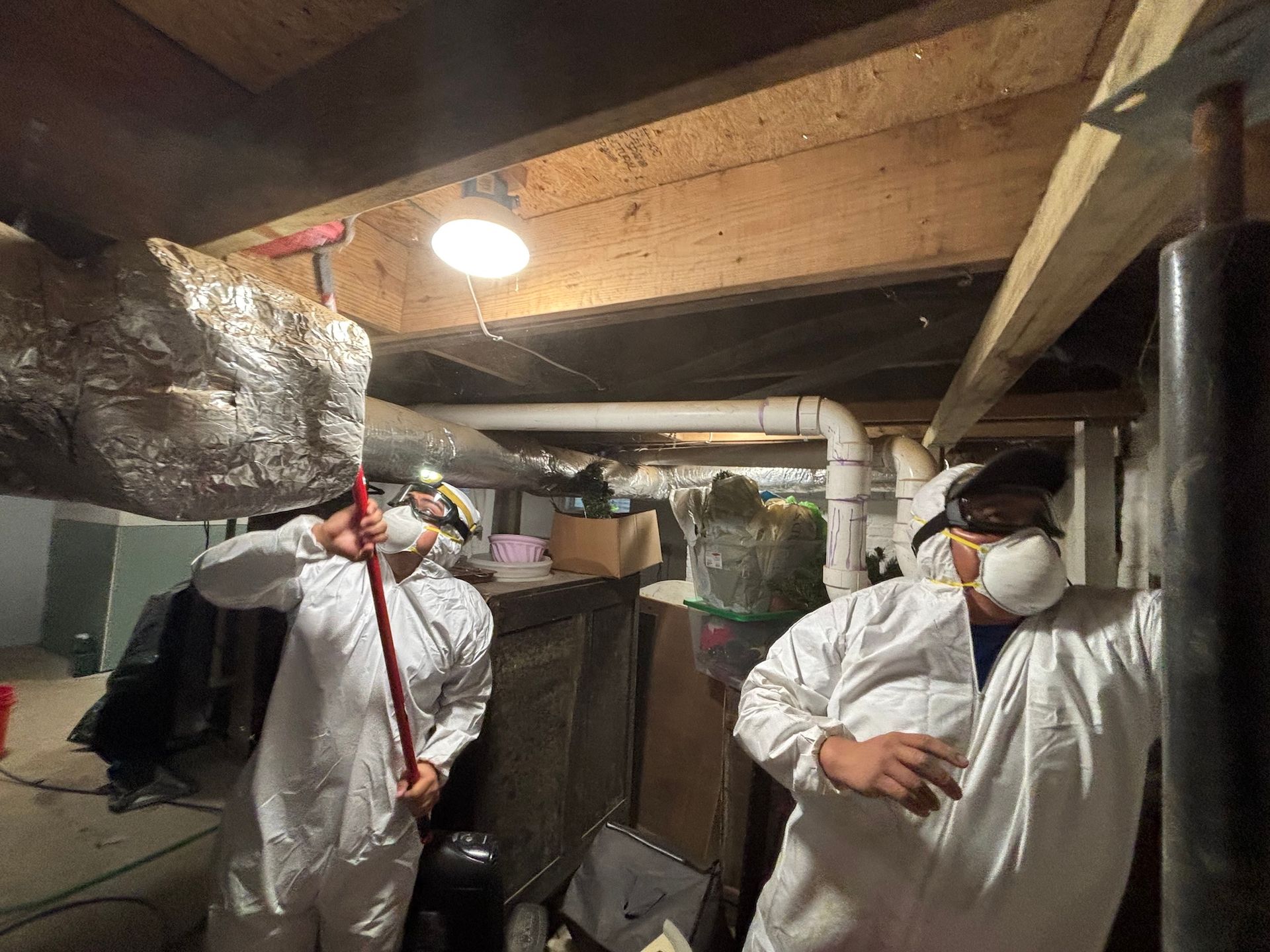 Two people in white protective suits and masks work in a cluttered basement with exposed ceiling beams and ductwork.