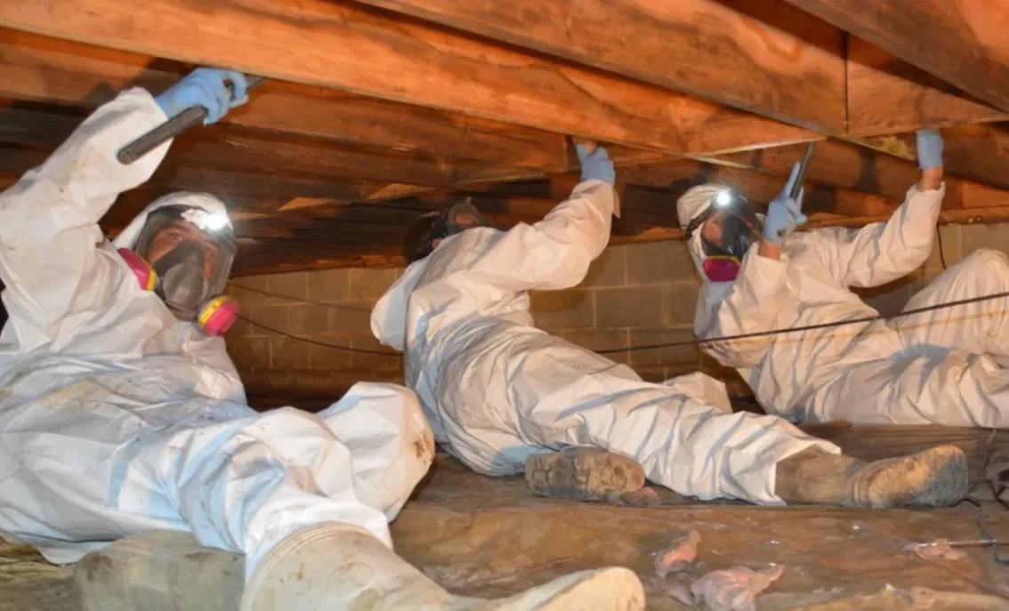 Three workers in white protective suits and masks work in a dark crawl space, inspecting wooden floor joists.