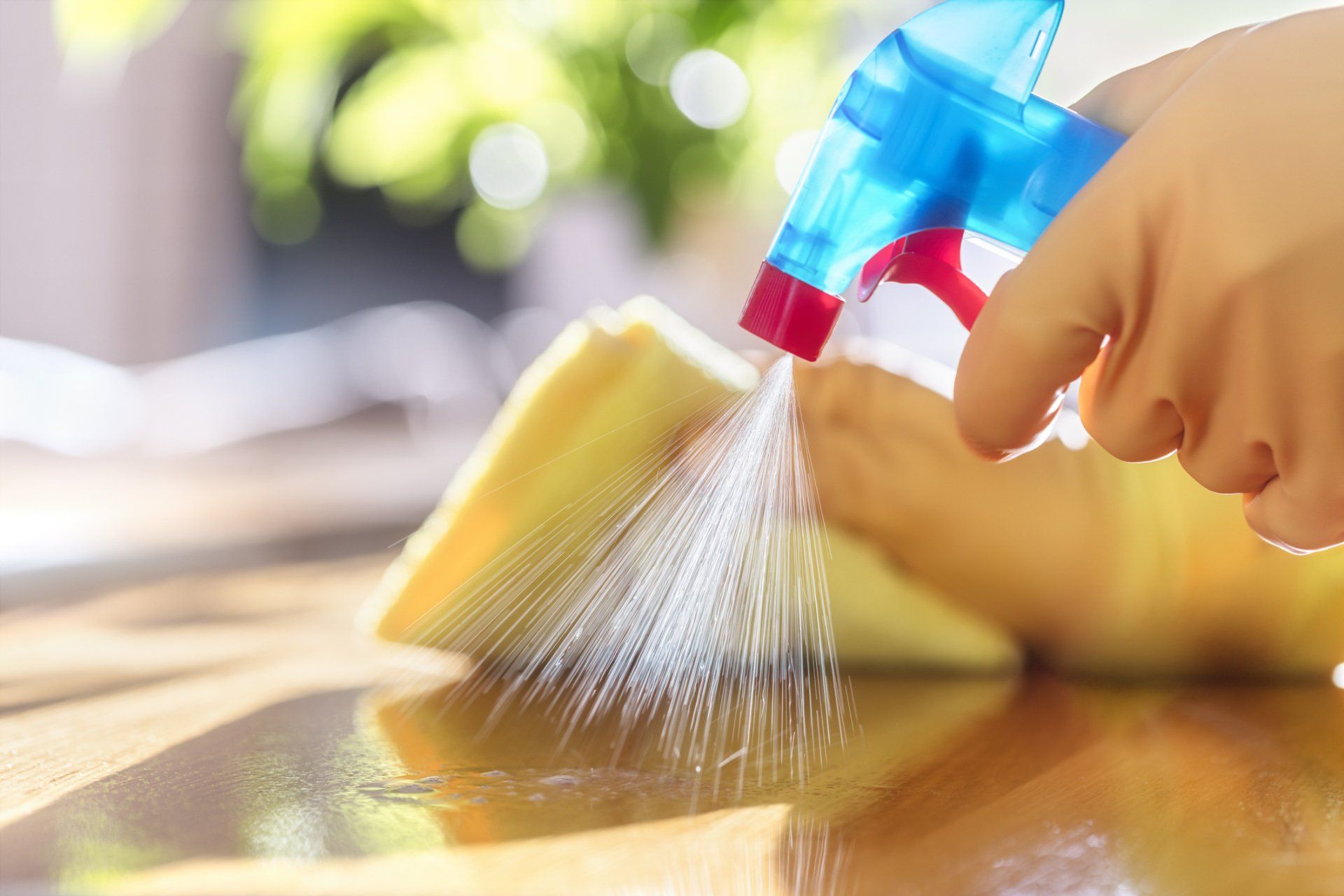 Cleaning Service — Bakersfield, CA — Handmaids House Cleaning