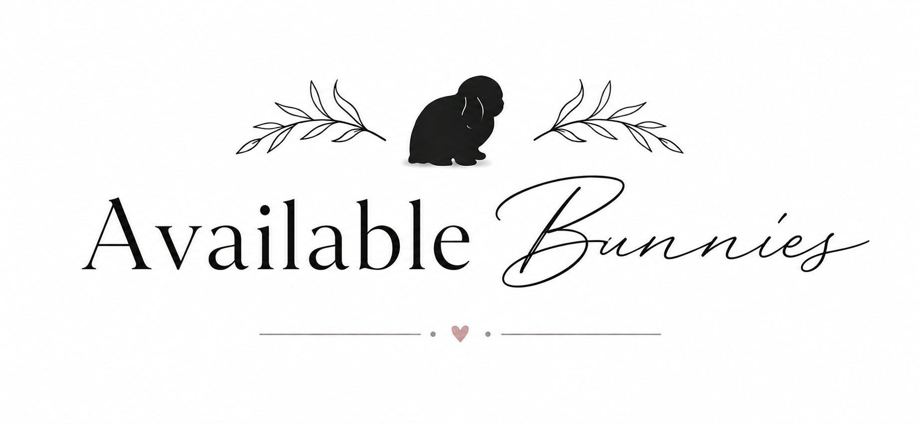 Available Bunnies at The Lops at Little Flat Creek