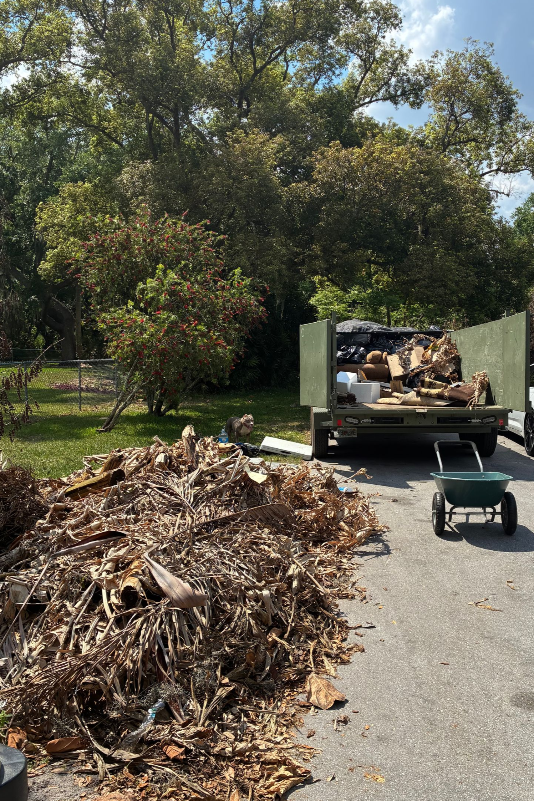 Yard Debris Removal