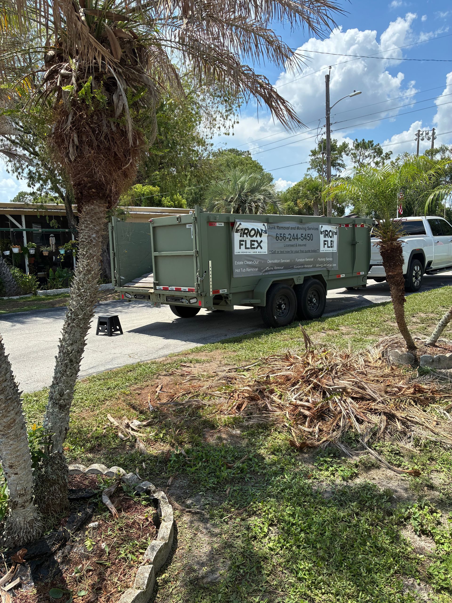 Palm Tree Cleanup