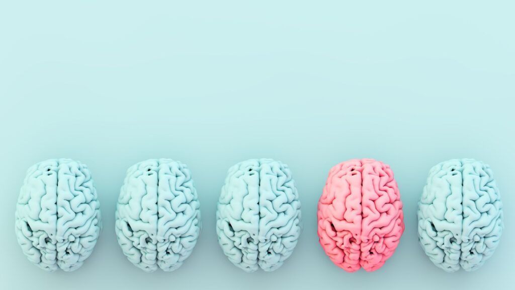 Five brain models in a row on a pale blue background, one brain colored pink among white ones