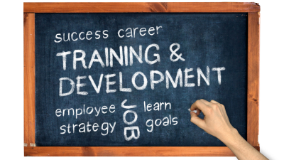 Chalkboard reading “Training & Development” with career, employee, strategy, learn, goals, and a hand writing