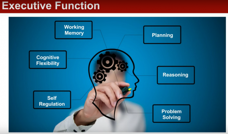 Executive function infographic with labels