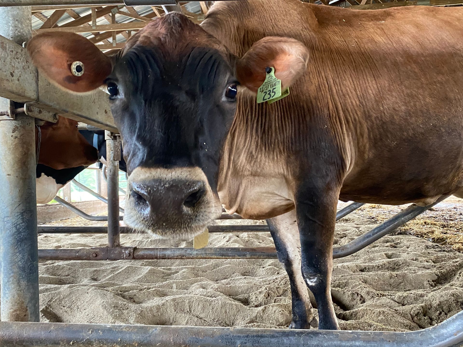 MA Farm Visits