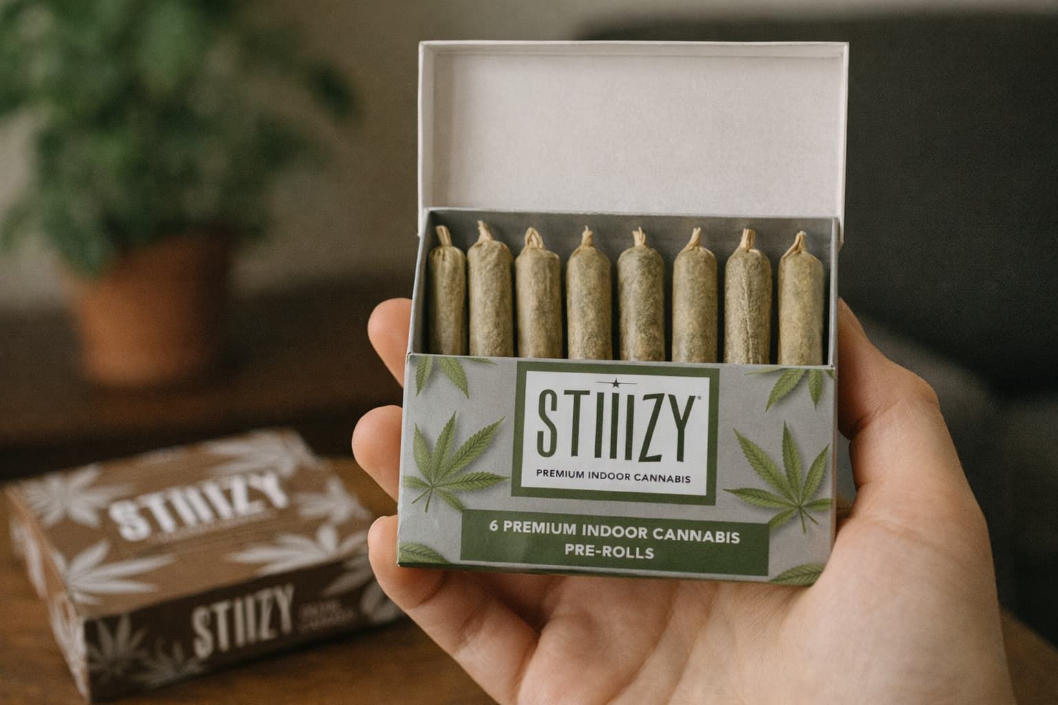Is the Stiiizy Pre Rolls 6 Pack Price Worth It
