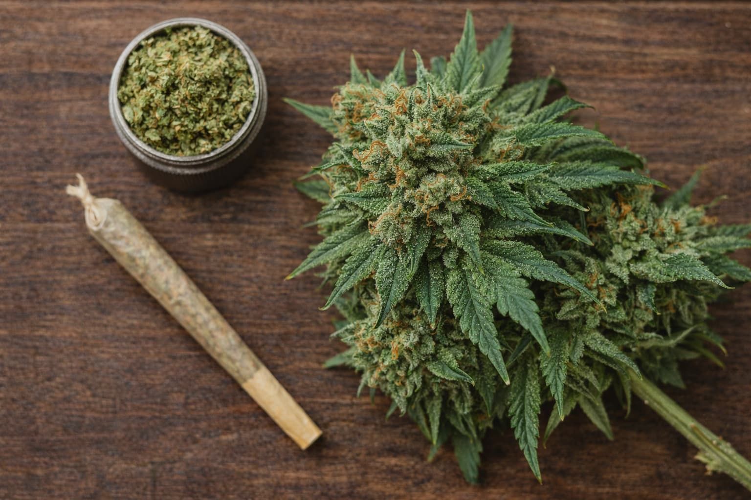 Which Of The Following Is True About Cannabis