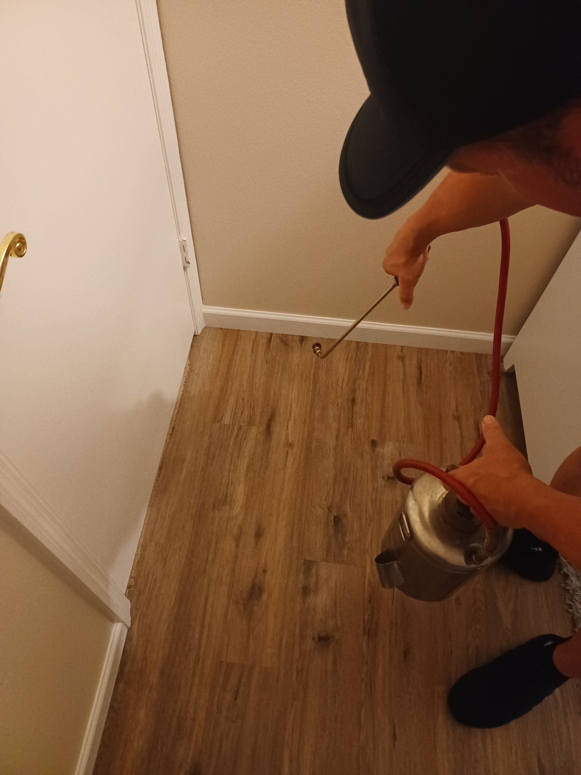 Bed Bug Exterminator in Brevard County, FL Bed Bug Exterminator in Brevard County, FL