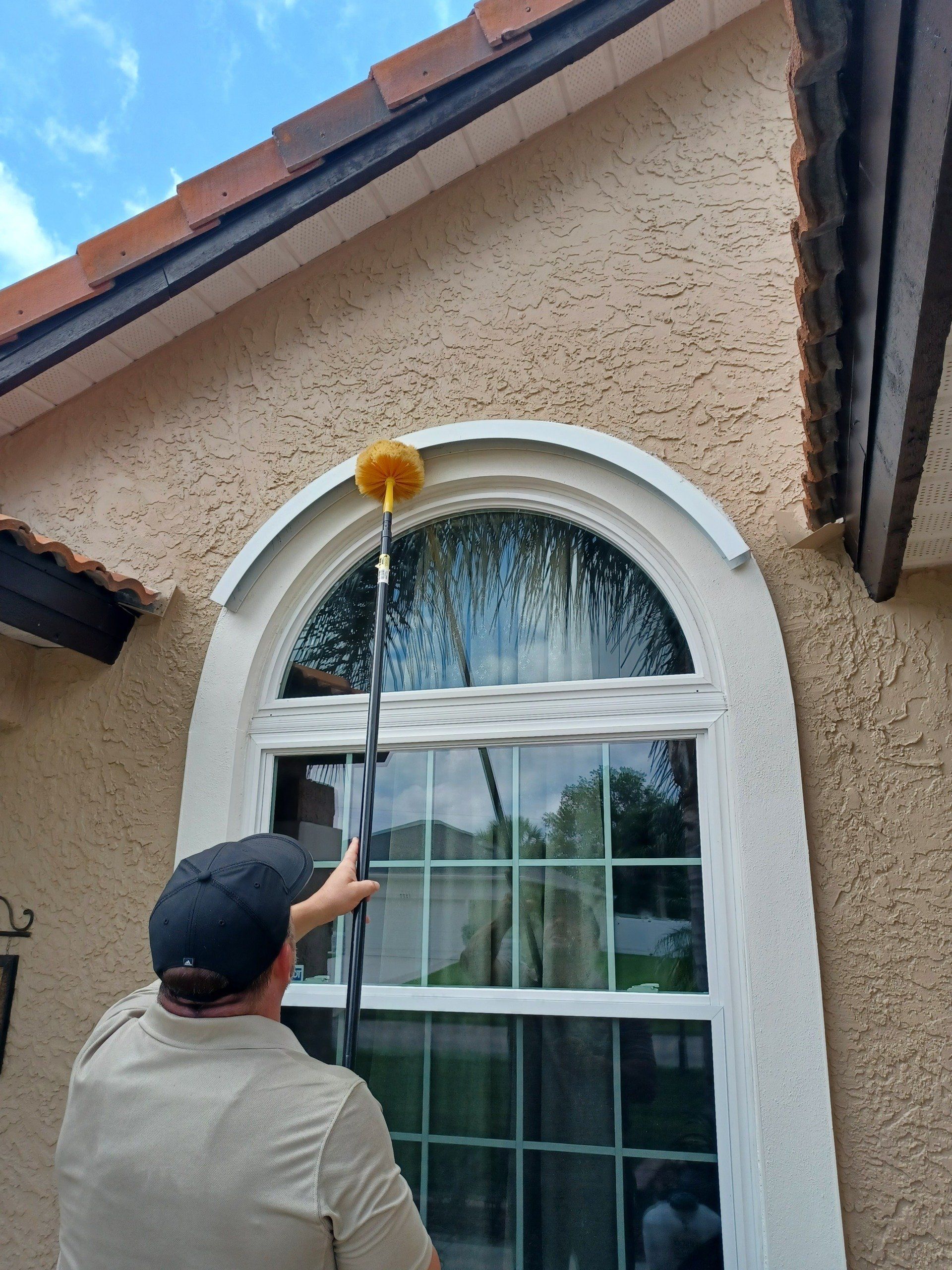 Rodent Control Services Near You Rodent Control Services Near You