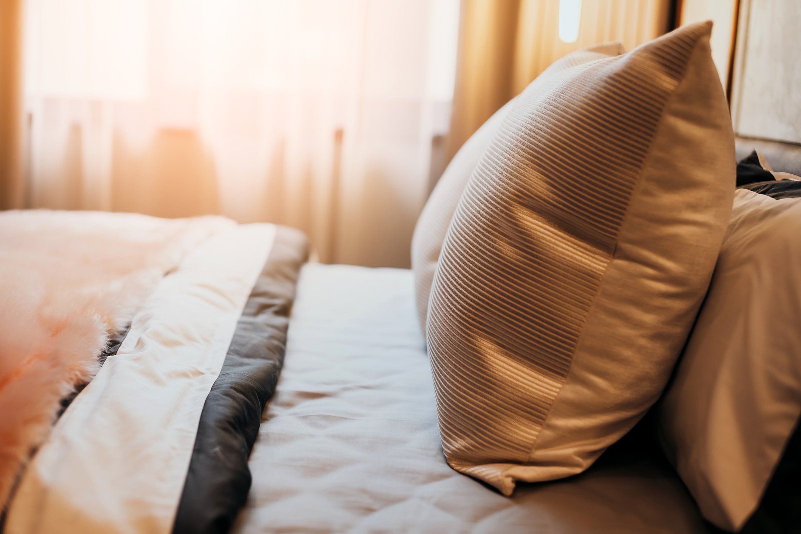 Bed Bug Control Services Near You Bed Bug Control Services Near You