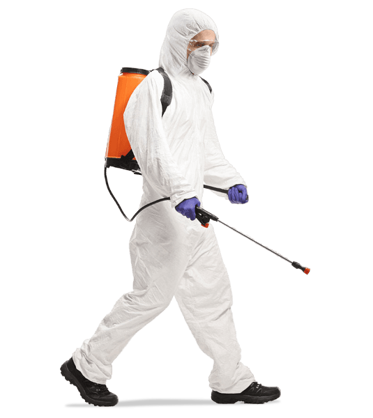ASESORÍA EN MANEJO INTEGRADO DE PLAGAS FUMIPLAG