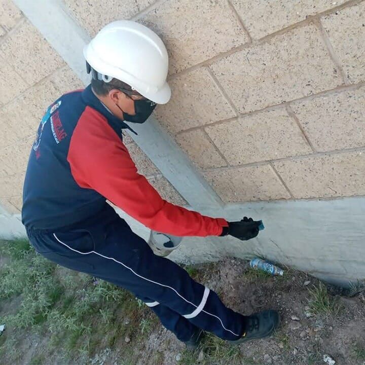 ASESORÍA EN MANEJO INTEGRADO DE PLAGAS FUMIPLAG - CONTROL DE PLAGAS