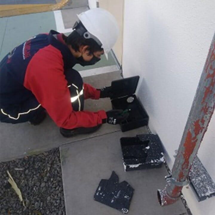 ASESORÍA EN MANEJO INTEGRADO DE PLAGAS FUMIPLAG - CONTROL DE MAMÍFEROS